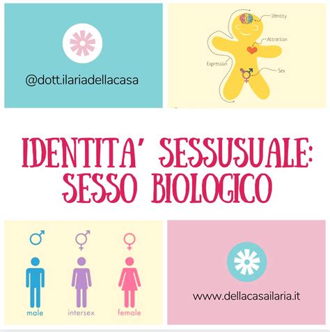 Diagramma che illustra la differenza tra sesso biologico e identità di genere