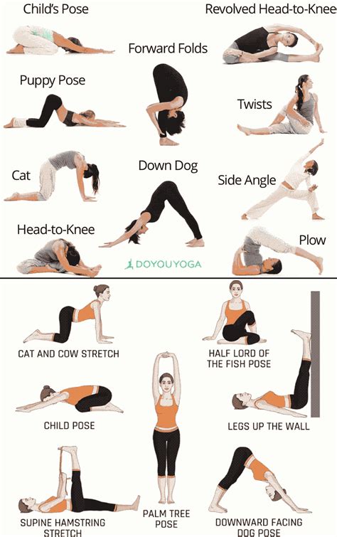 Esercizi di stretching per la schiena