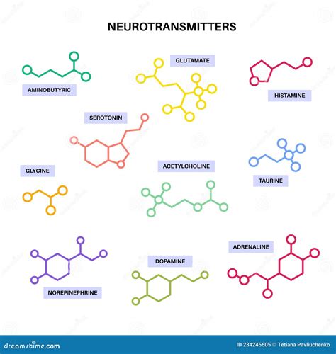 Schema di neurotrasmettitori nel cervello