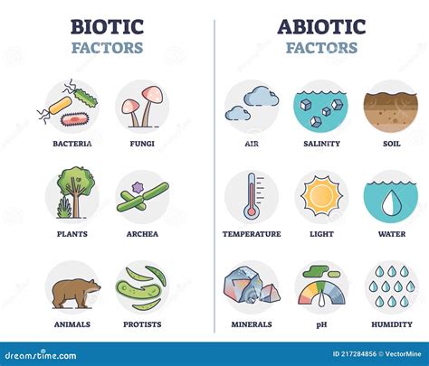 Illustrazione dei fattori abiotici in un ecosistema
