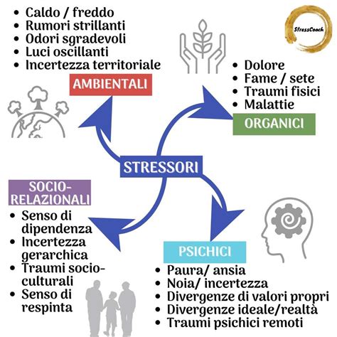 Diagramma che mostra le reazioni fisiologiche allo stress e al rifiuto sociale