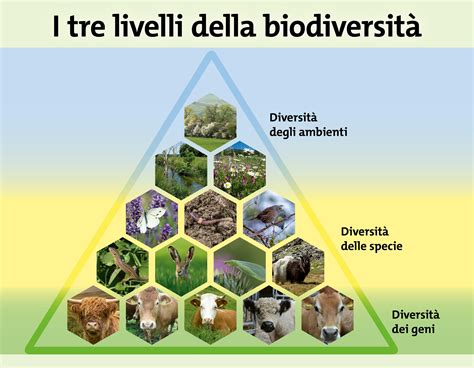 Diagramma che illustra i tre fattori (genetico, ambientale, biologico) che interagiscono per contribuire all'insorgenza dell'autismo.