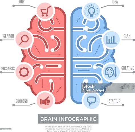 Illustrazione di un cervello con collegamenti a simboli finanziari