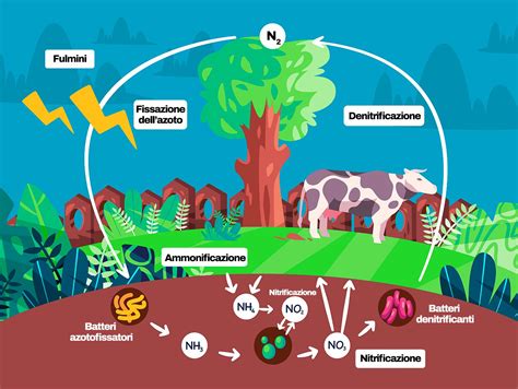 Diagramma che mostra il ciclo della giustificazione dello sforzo