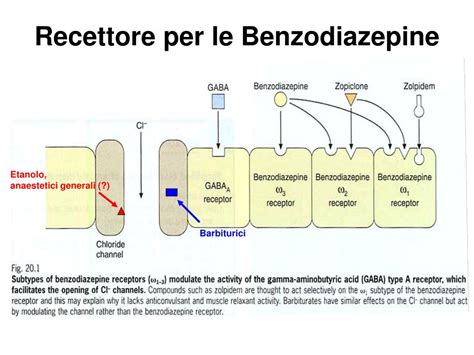 Diagramma che illustra il meccanismo d'azione delle benzodiazepine sul recettore GABA-A