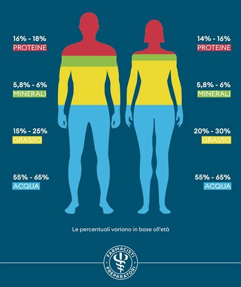 Diagramma che mostra la composizione corporea: massa grassa, massa magra, ossa, acqua