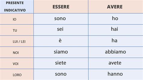 Diagramma che illustra le differenze tra