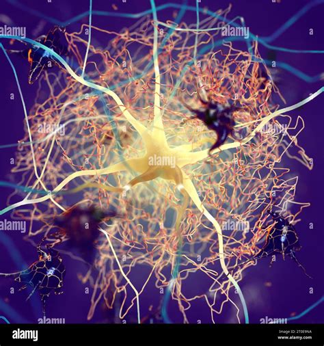 microscopio che osserva placche amiloidi