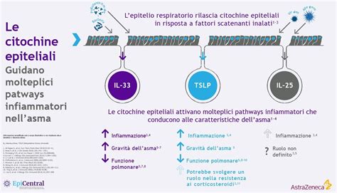 Diagramma che illustra il passaggio delle citochine dall'intestino al cervello e il loro potenziale impatto sulla neuro-infiammazione.