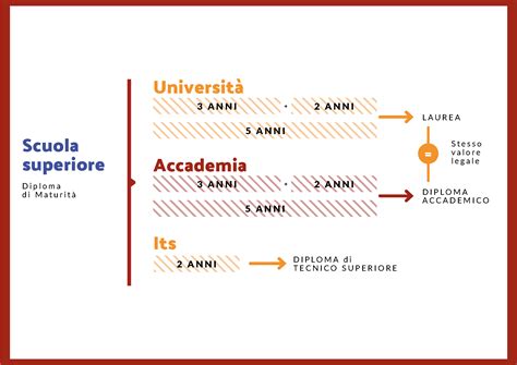 Diagramma che illustra il percorso di studi di una laurea magistrale