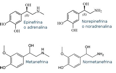 Struttura chimica della metanefrina e normetanefrina