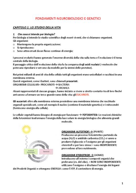 Diagramma che illustra i fattori genetici, neurobiologici e ambientali dell'ADHD