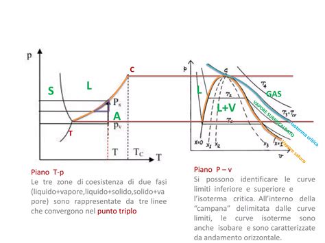 Diagramma che illustra la coesistenza di stati mentali primitivi e maturi