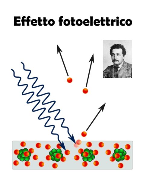 Emissione di fotoni ultra-debole in un topo