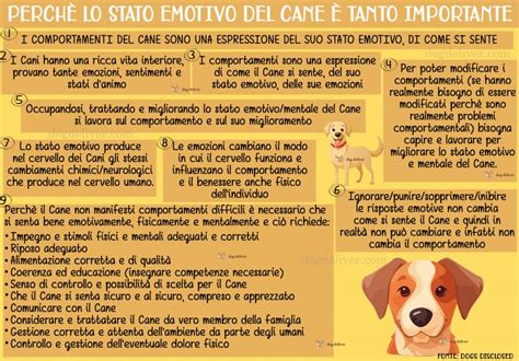 Grafico che mostra l'evoluzione dello stato emotivo di un cane durante un percorso terapeutico