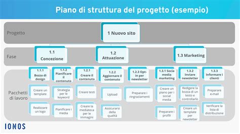 Diagramma che illustra la struttura di un piano di studi universitario in psicologia