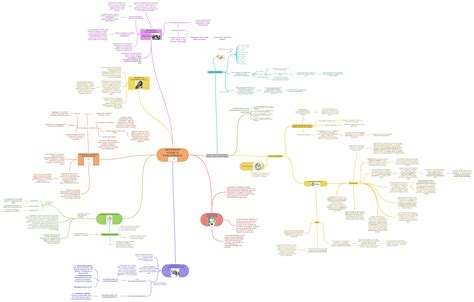 Diagramma che illustra i diversi approcci psicoterapeutici