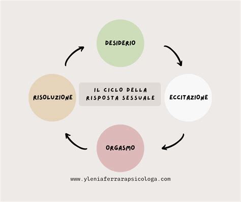 Schema del ciclo di risposta sessuale