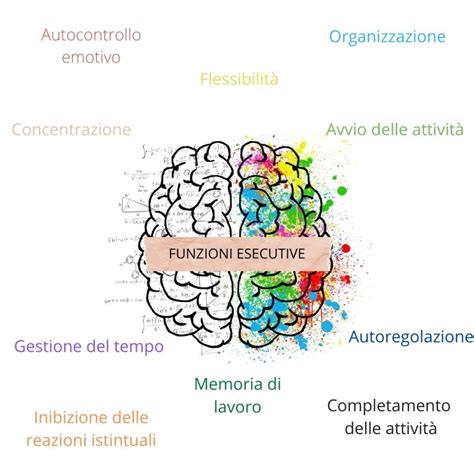 Diagramma del cervello che evidenzia le aree associate alle funzioni esecutive