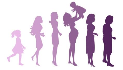 Illustrazione che rappresenta le diverse fasi della vita di una donna e i relativi cambiamenti ormonali