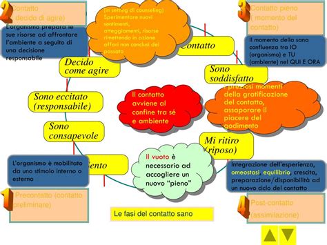 diagramma del ciclo di contatto della Gestalt