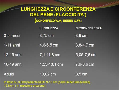 Diagramma che illustra le dimensioni medie del pene in erezione e flaccida