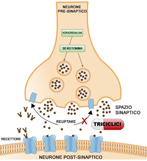 Struttura chimica degli antidepressivi triciclici