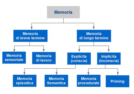 Diagramma dei tre magazzini della memoria: sensoriale, a breve termine, a lungo termine