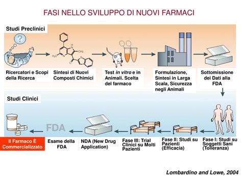 Diagramma che illustra le fasi della sperimentazione clinica