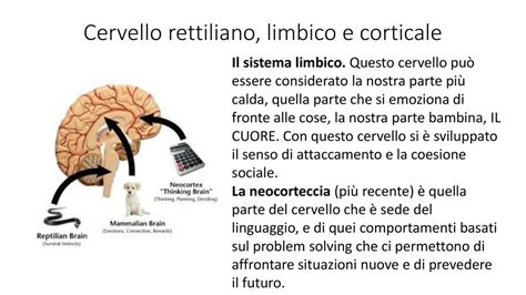Illustrazione che confronta due cervelli, uno con molte connessioni (alta riserva cognitiva) e uno con meno connessioni (bassa riserva cognitiva)