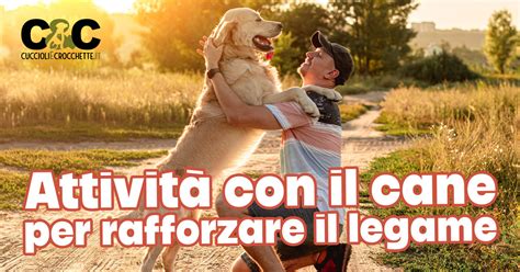 Il legame tra un cane e il suo proprietario