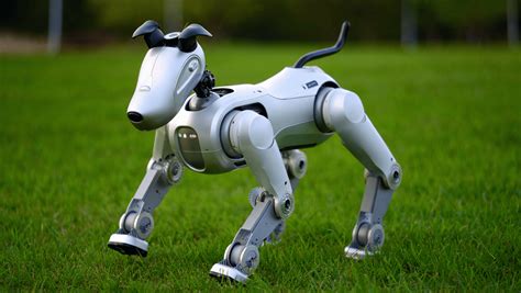 Un cane che interagisce con un robot