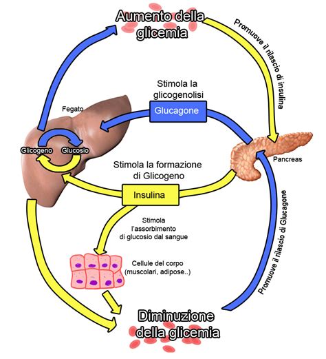 Schema che illustra l'interazione tra stress, somatizzazione e trattamento farmacologico