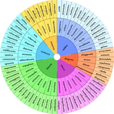 La Ruota delle Emozioni di Plutchik