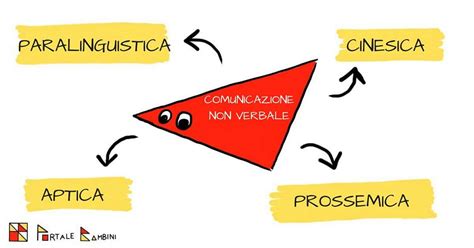 Diagramma che illustra le diverse componenti della comunicazione: verbale, non verbale, pragmatica