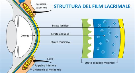 schema del film lacrimale