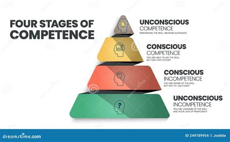 Infographic illustrating the stages of learning (unconscious incompetence to unconscious competence)
