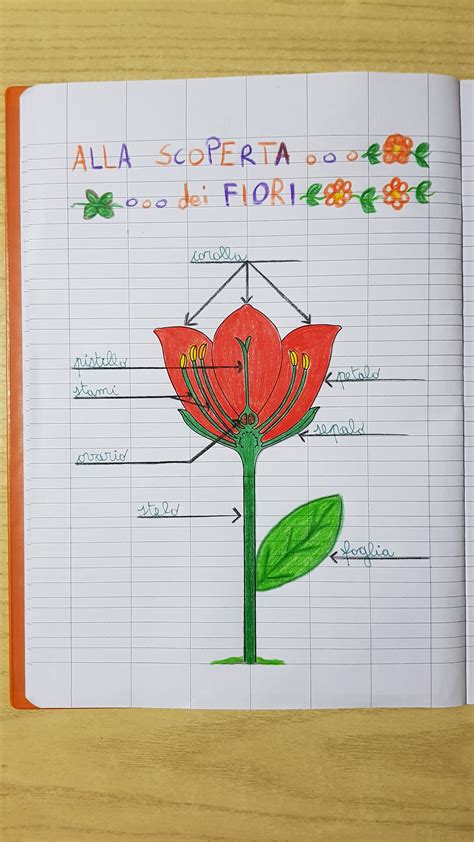 Illustrazione che mostra un fiore master e diverse istanze del fiore distribuite su una tavola da disegno.