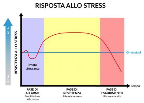 Diagramma che illustra la risposta fisiologica allo stress e all'ansia