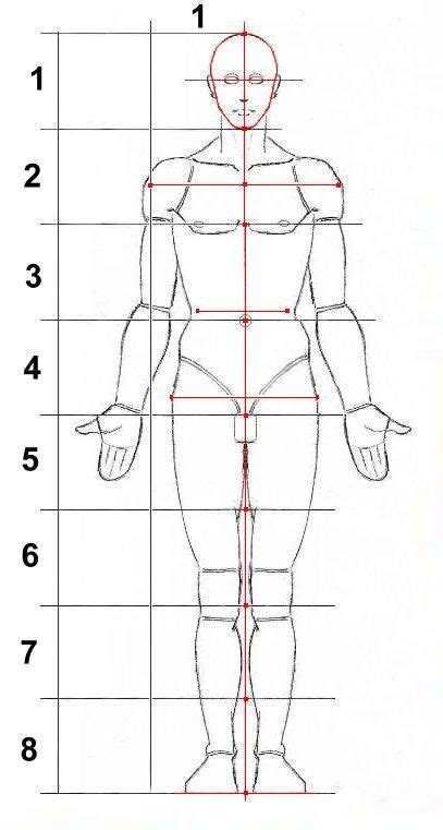 Disegno anatomico di un corpo umano con sezioni