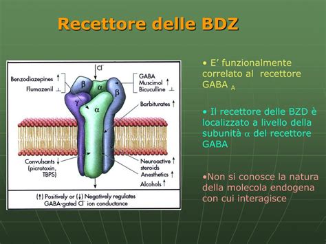Rappresentazione schematica del recettore GABA e dell'azione delle benzodiazepine