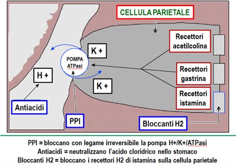 Struttura molecolare di un inibitore della pompa protonica