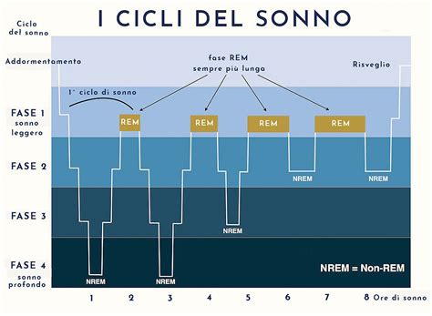 Diagramma dei cicli del sonno e dei fattori che li influenzano
