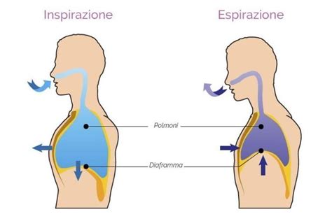 Infografica che illustra le tecniche di respirazione diaframmatica