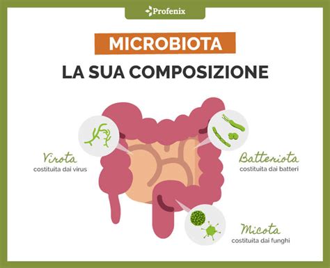 Diagramma che illustra la composizione del microbiota intestinale