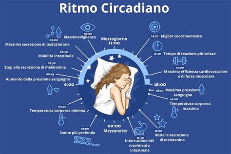 schema del ciclo sonno-veglia