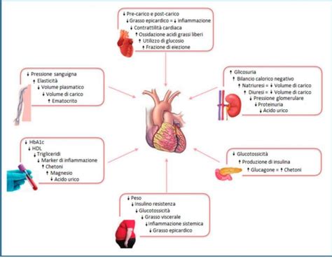 Infografica sulle principali classi di farmaci cardiovascolari e i loro meccanismi