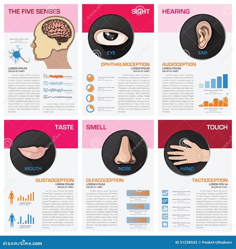 Diagramma che illustra i cinque sensi e le relative allucinazioni