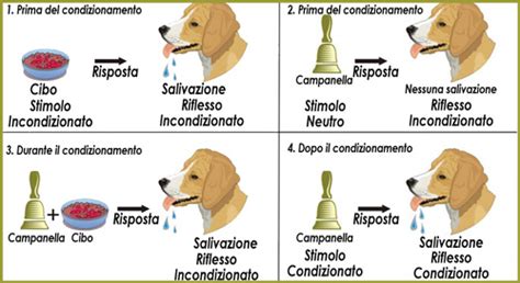 Schema che illustra il condizionamento classico