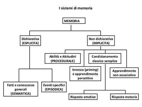 Diagramma che mostra la differenza tra memoria dichiarativa e non dichiarativa